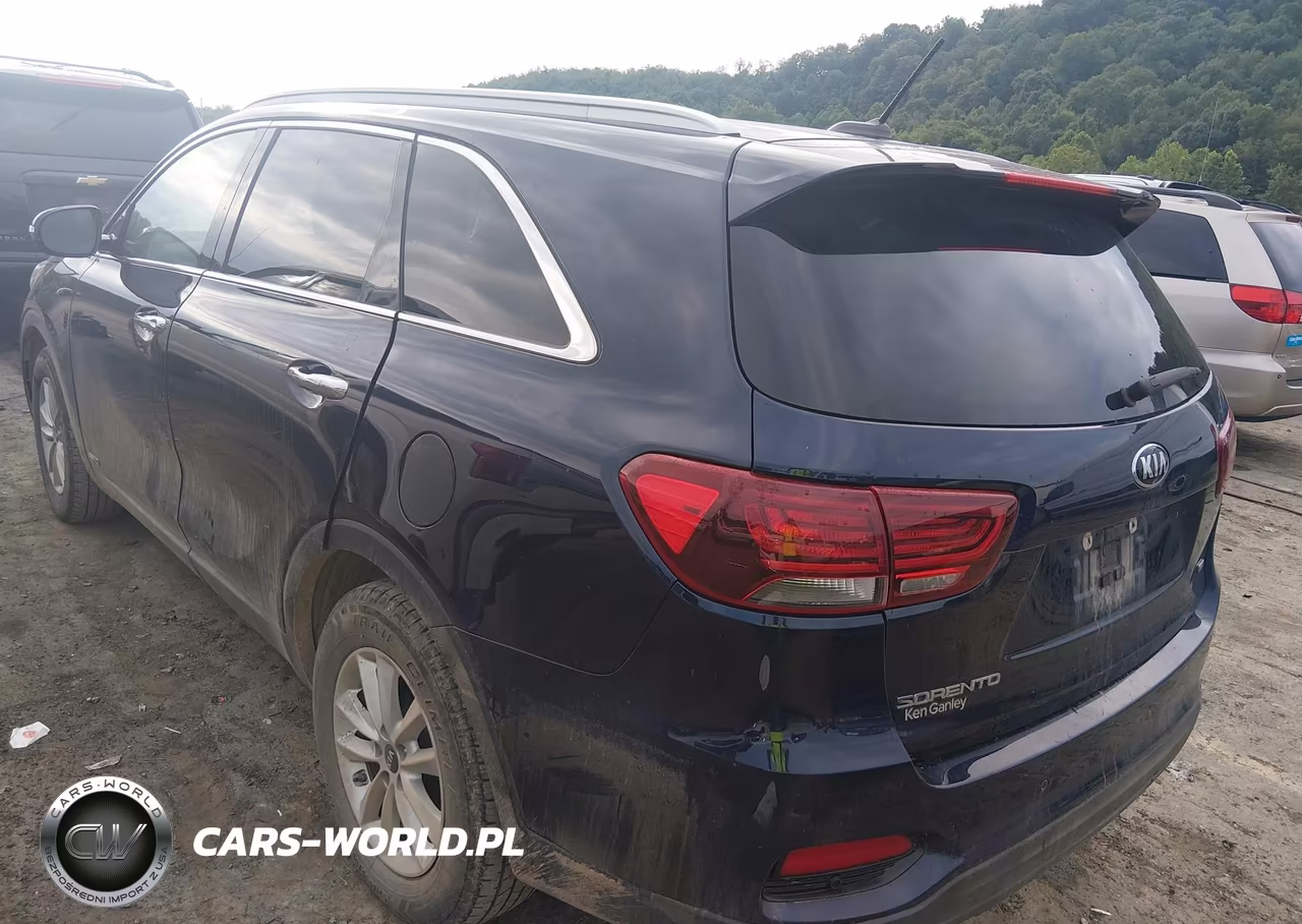 2020 Kia Sorento 2.4L Lx VIN:5XYPGDA3XLG667604 - 3