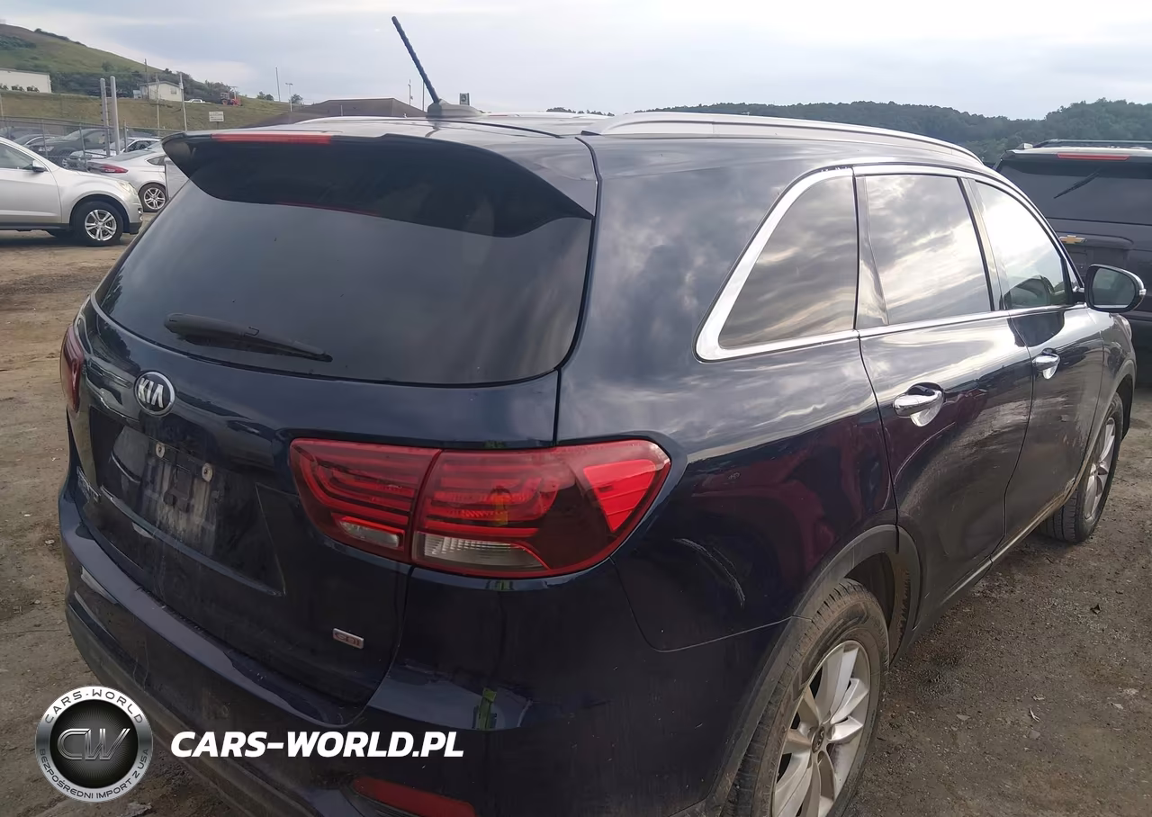 2020 Kia Sorento 2.4L Lx VIN:5XYPGDA3XLG667604 - 4