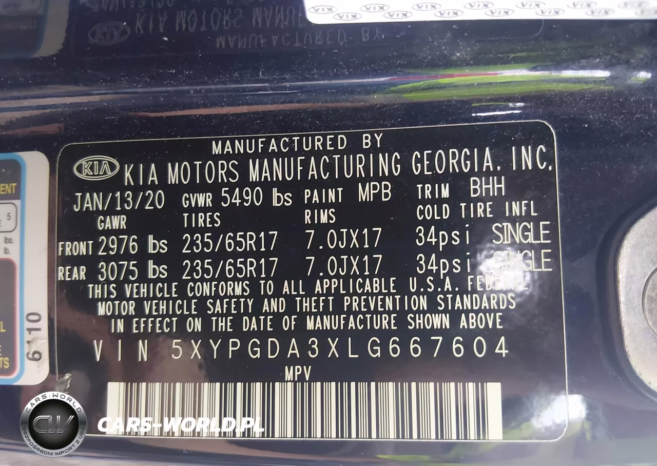 2020 Kia Sorento 2.4L Lx VIN:5XYPGDA3XLG667604 - 9