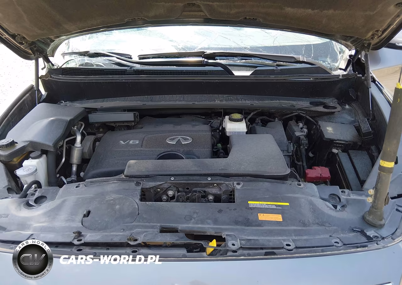 2017 Infiniti Qx60 VIN:5N1DL0MM1HC541859 - 10