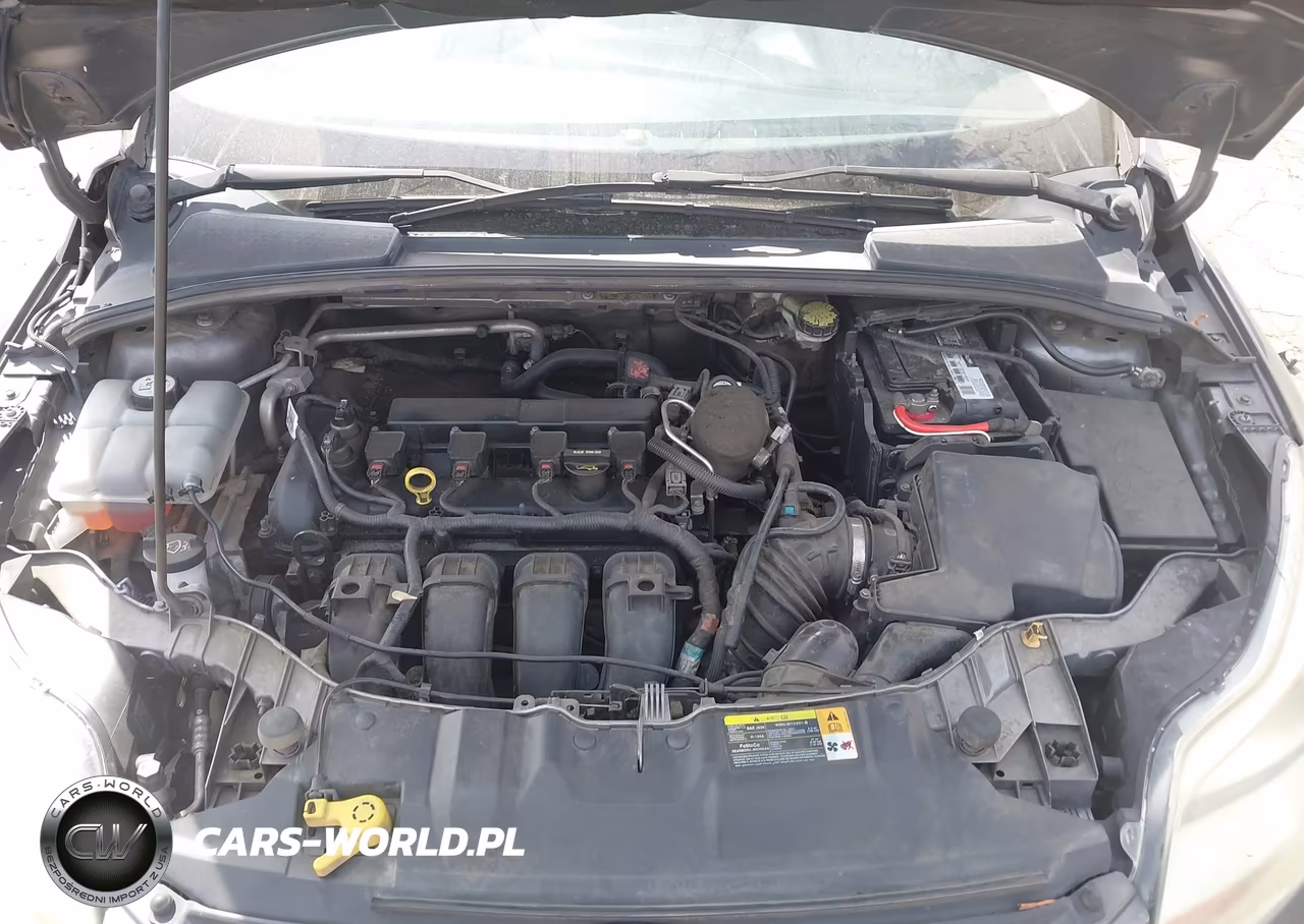 2013 Ford Focus Se VIN:1FADP3F24DL116531 - 10