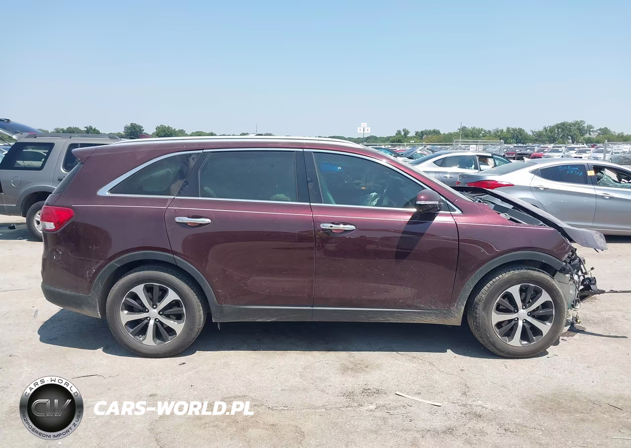 2017 Kia Sorento 3.3L Ex VIN:5XYPH4A54HG228534 - 13
