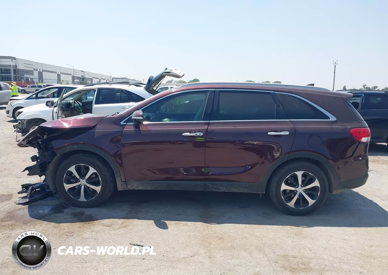 2017 Kia Sorento 3.3L Ex VIN:5XYPH4A54HG228534 - 14