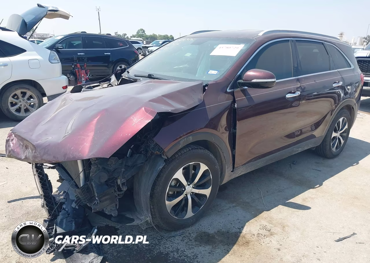 2017 Kia Sorento 3.3L Ex VIN:5XYPH4A54HG228534 - 2