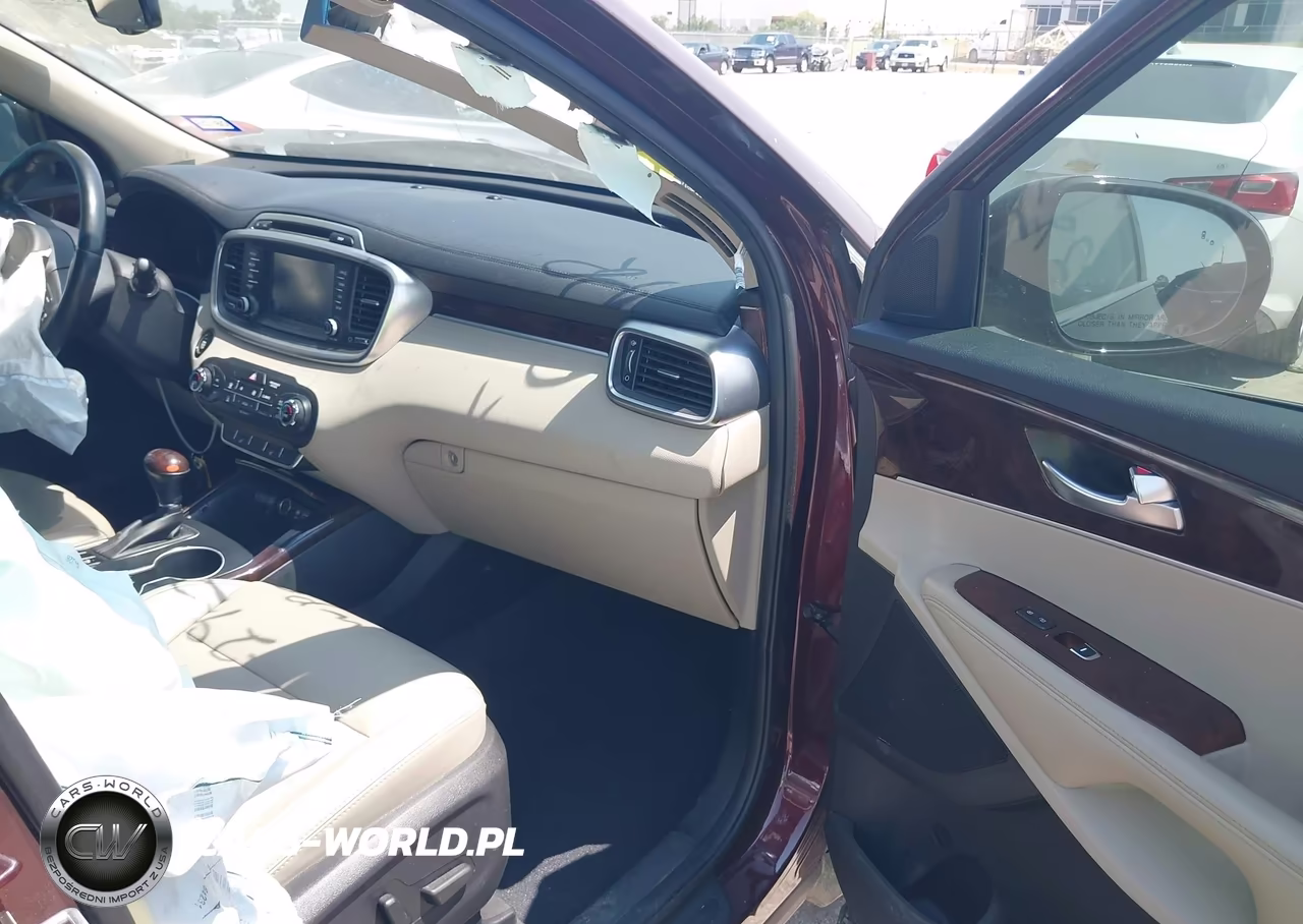 2017 Kia Sorento 3.3L Ex VIN:5XYPH4A54HG228534 - 5