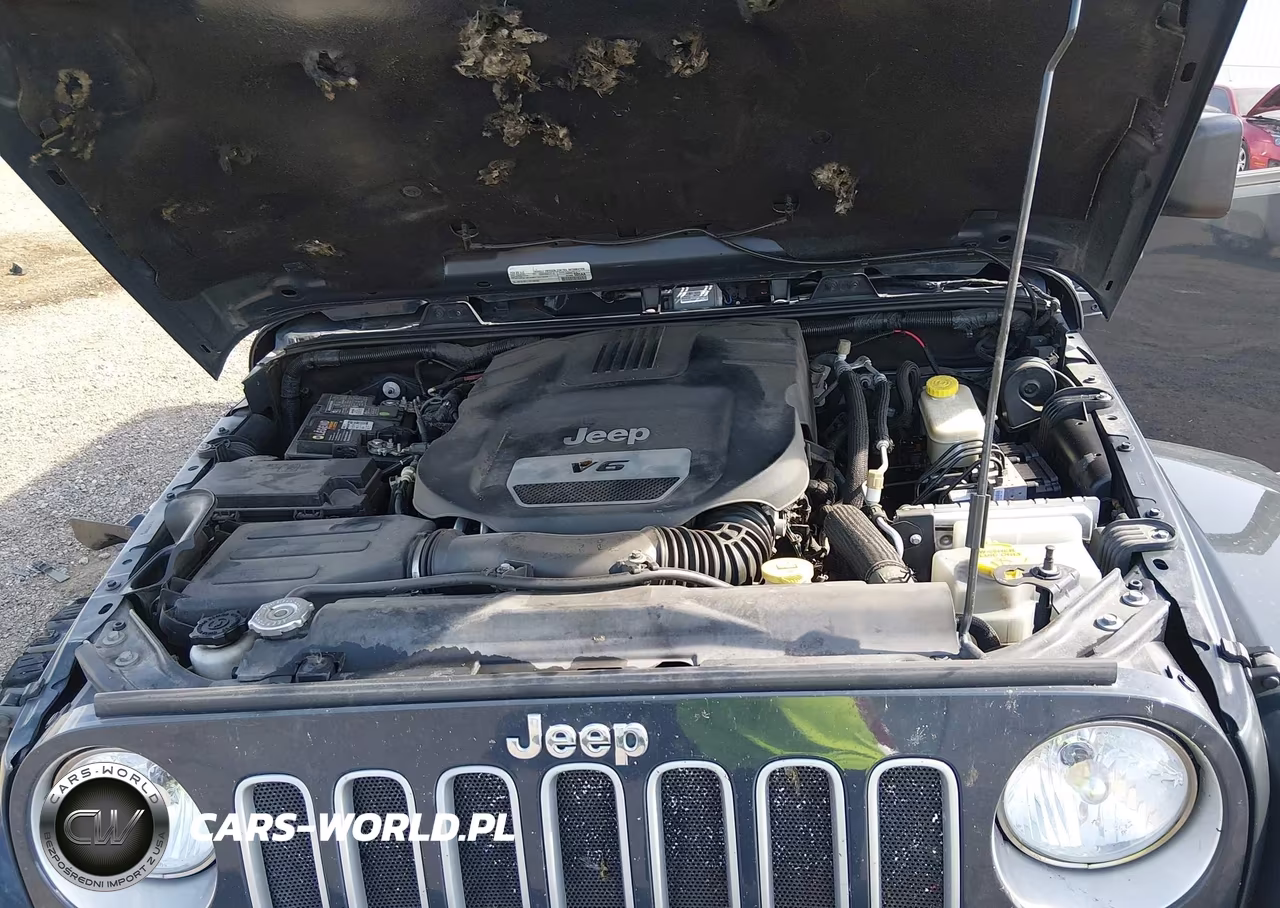 2016 Jeep Wrangler Unlimited Sahara VIN:1C4BJWEG6GL298626 - 10