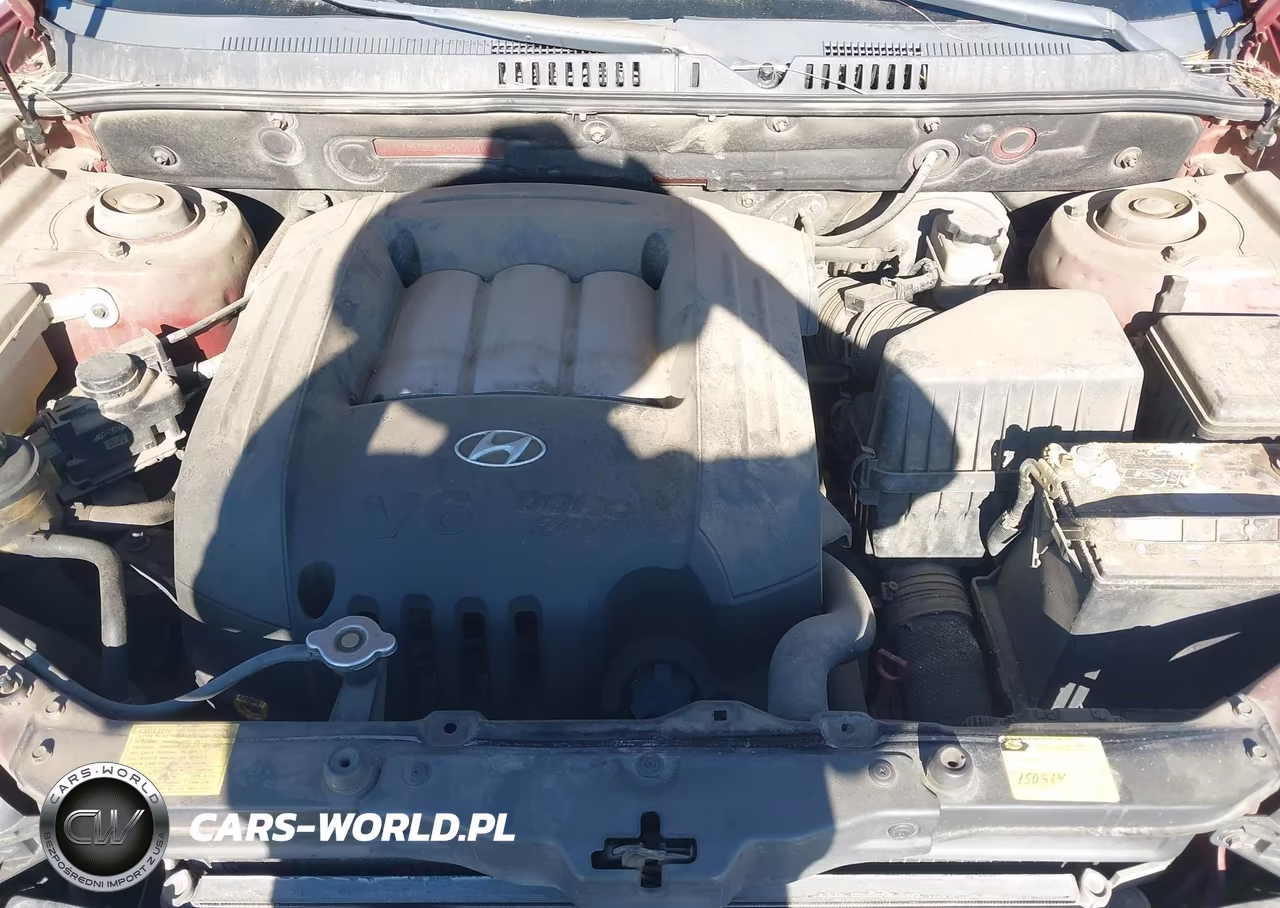 2004 Hyundai Santa Fe Gls VIN:KM8SC13D14U657310 - 10