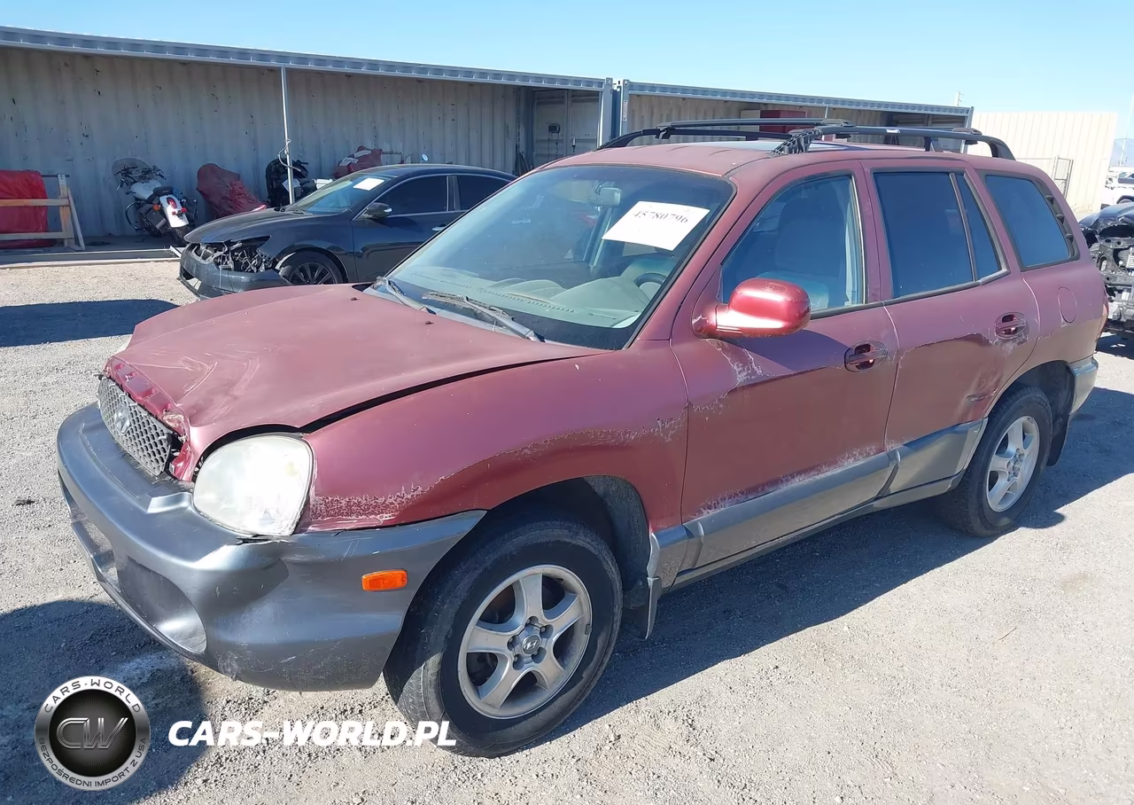 2004 Hyundai Santa Fe Gls VIN:KM8SC13D14U657310 - 2