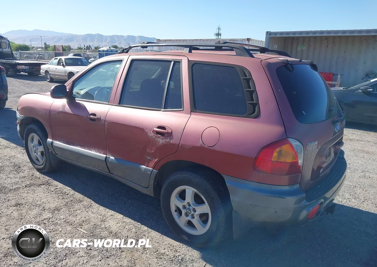 2004 Hyundai Santa Fe Gls VIN:KM8SC13D14U657310 - 3