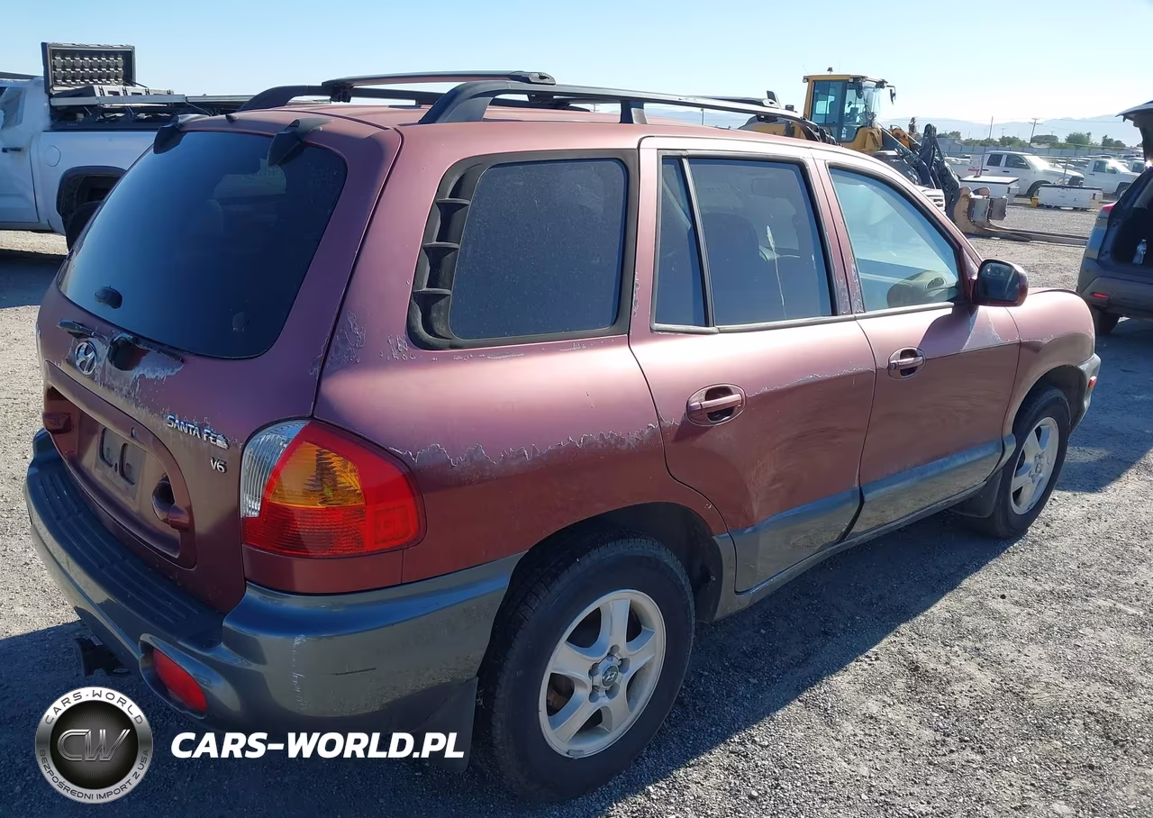 2004 Hyundai Santa Fe Gls VIN:KM8SC13D14U657310 - 4