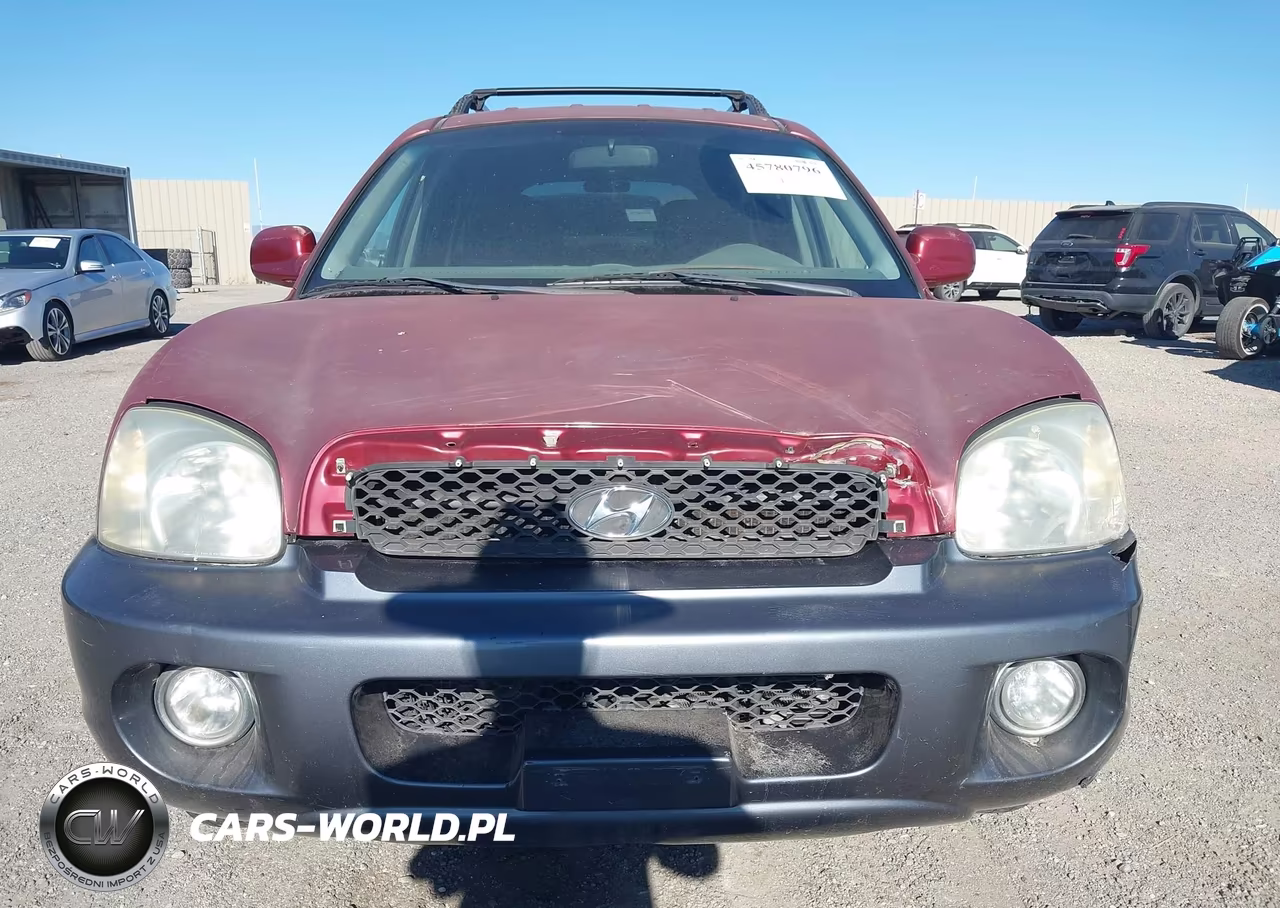 2004 Hyundai Santa Fe Gls VIN:KM8SC13D14U657310 - 6