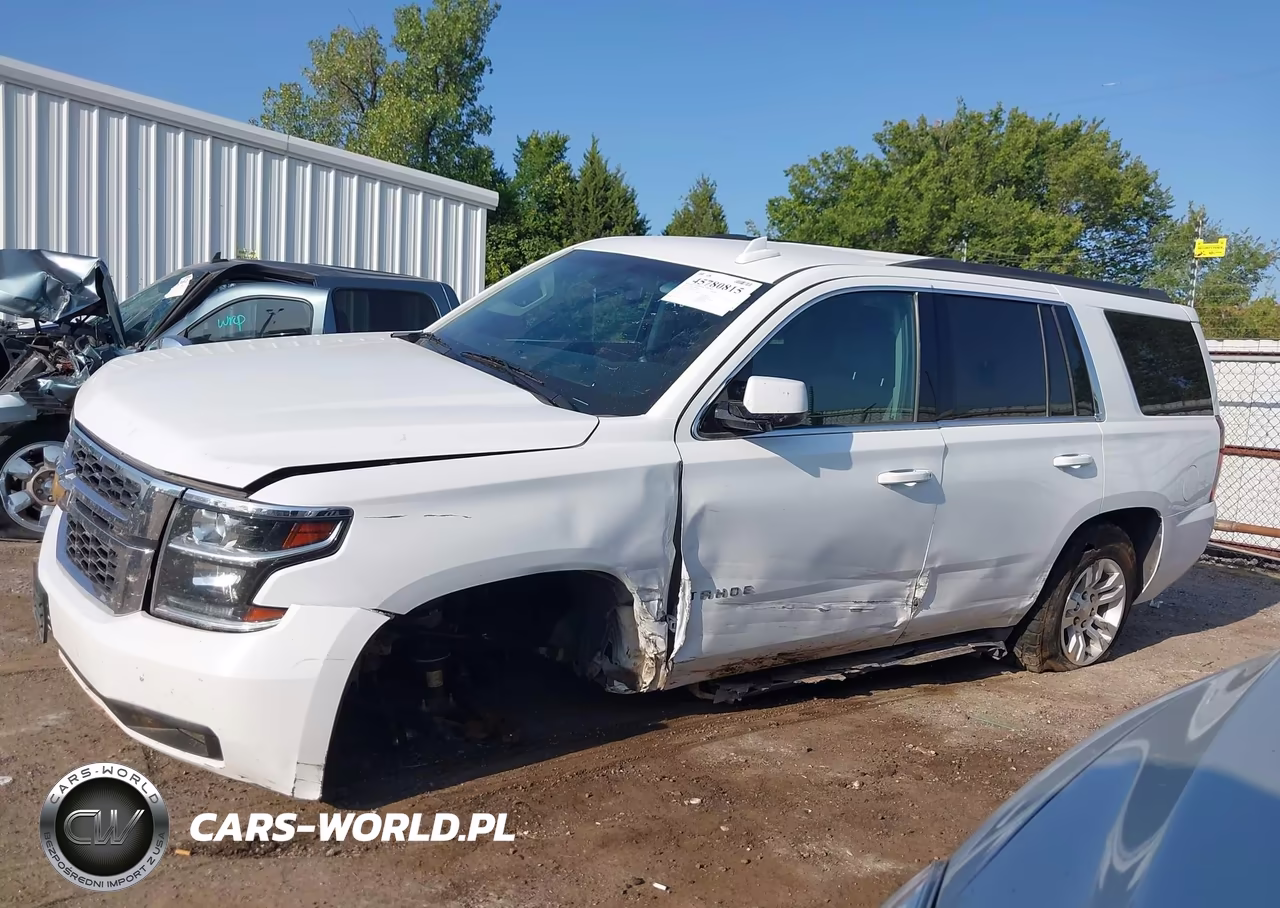2018 Chevrolet Tahoe Ls VIN:1GNSKAKC2JR254409 - 13