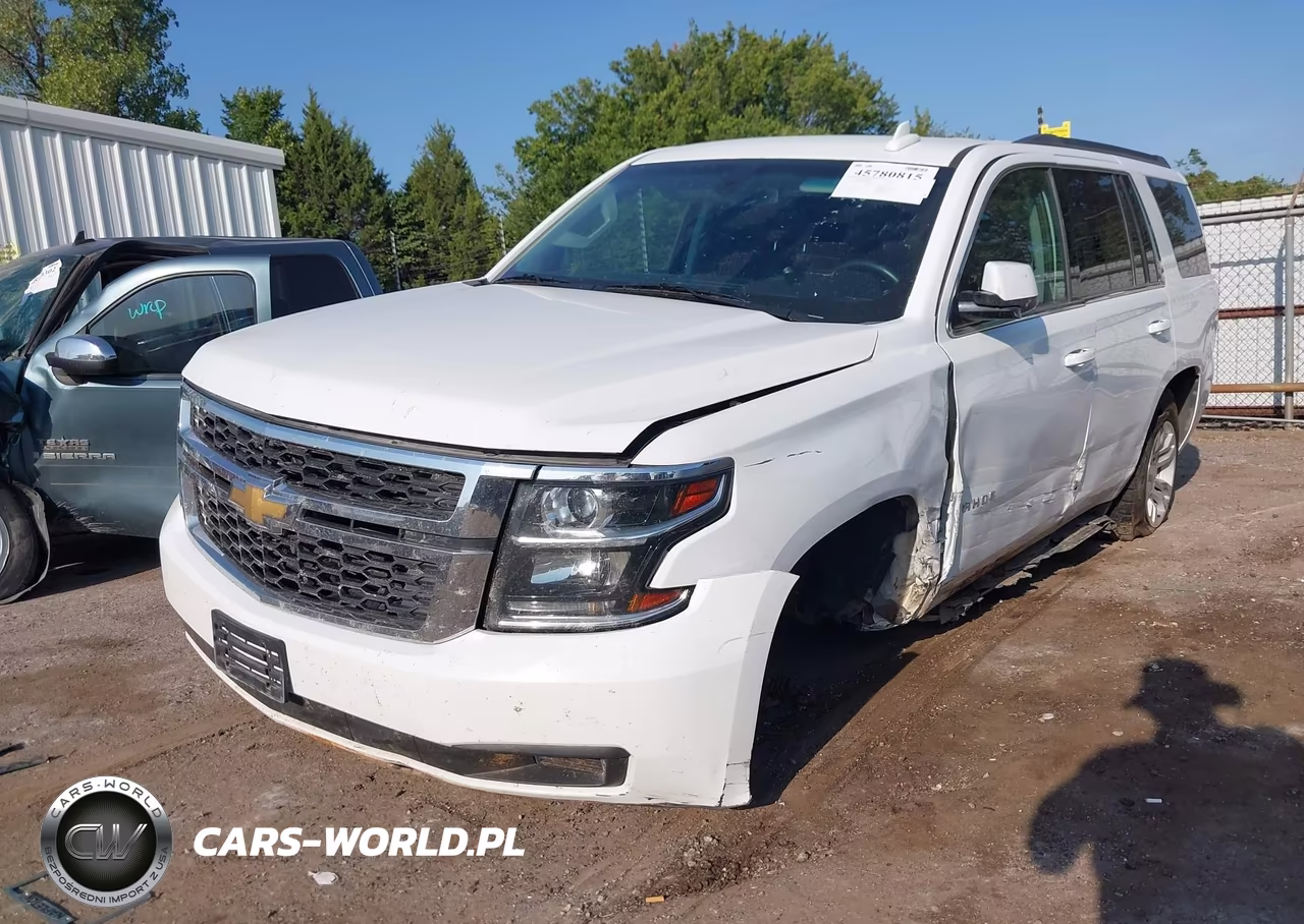 2018 Chevrolet Tahoe Ls VIN:1GNSKAKC2JR254409 - 2