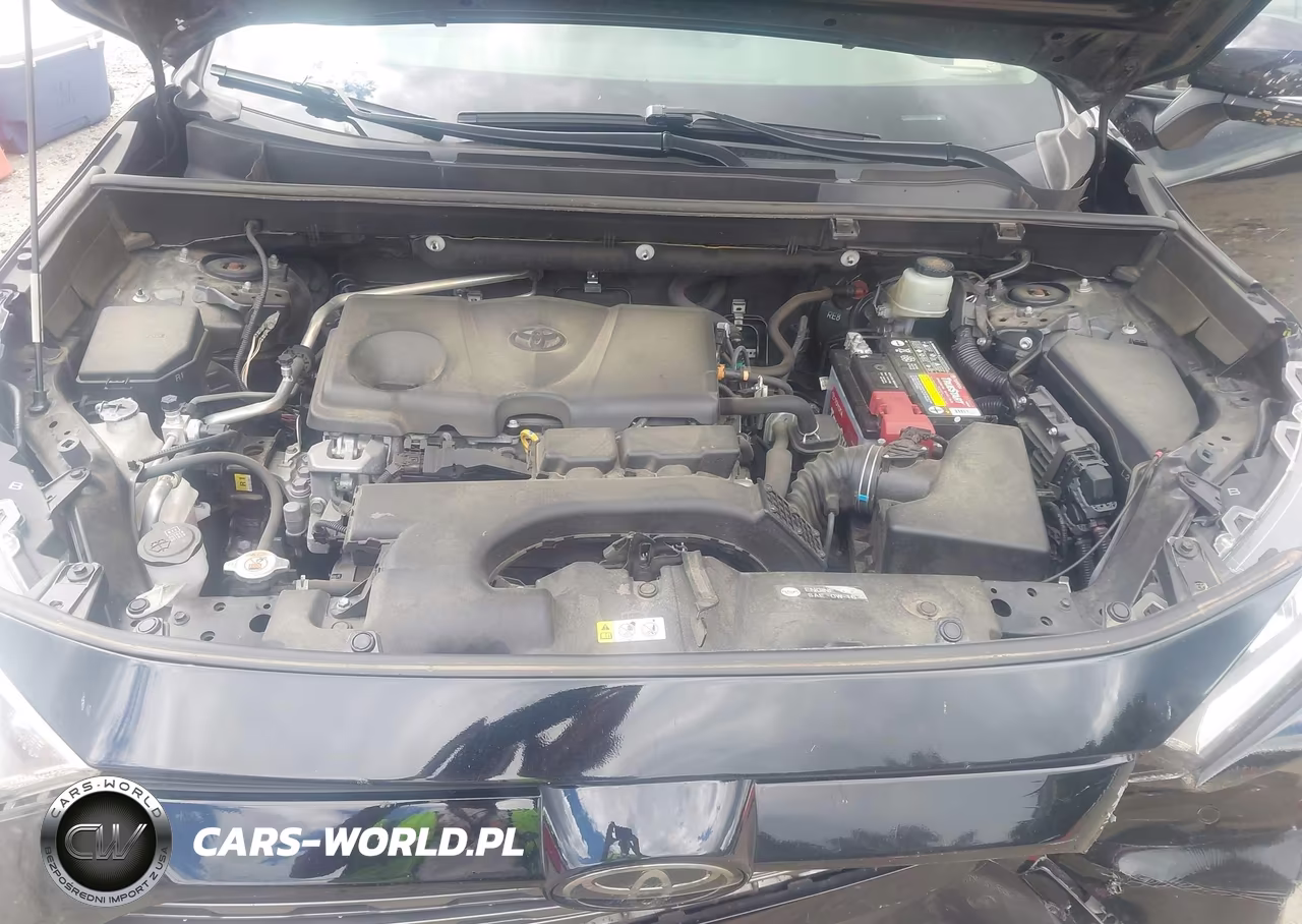 2019 Toyota Rav4 Limited VIN:JTMN1RFV1KD519533 - 10