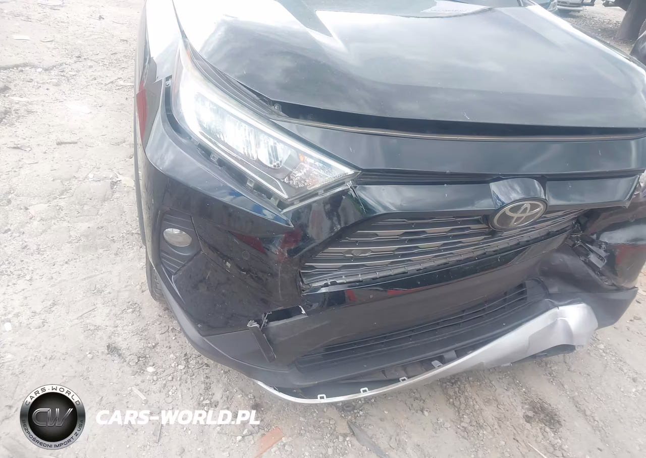 2019 Toyota Rav4 Limited VIN:JTMN1RFV1KD519533 - 17
