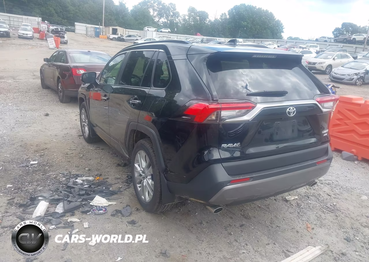 2019 Toyota Rav4 Limited VIN:JTMN1RFV1KD519533 - 3