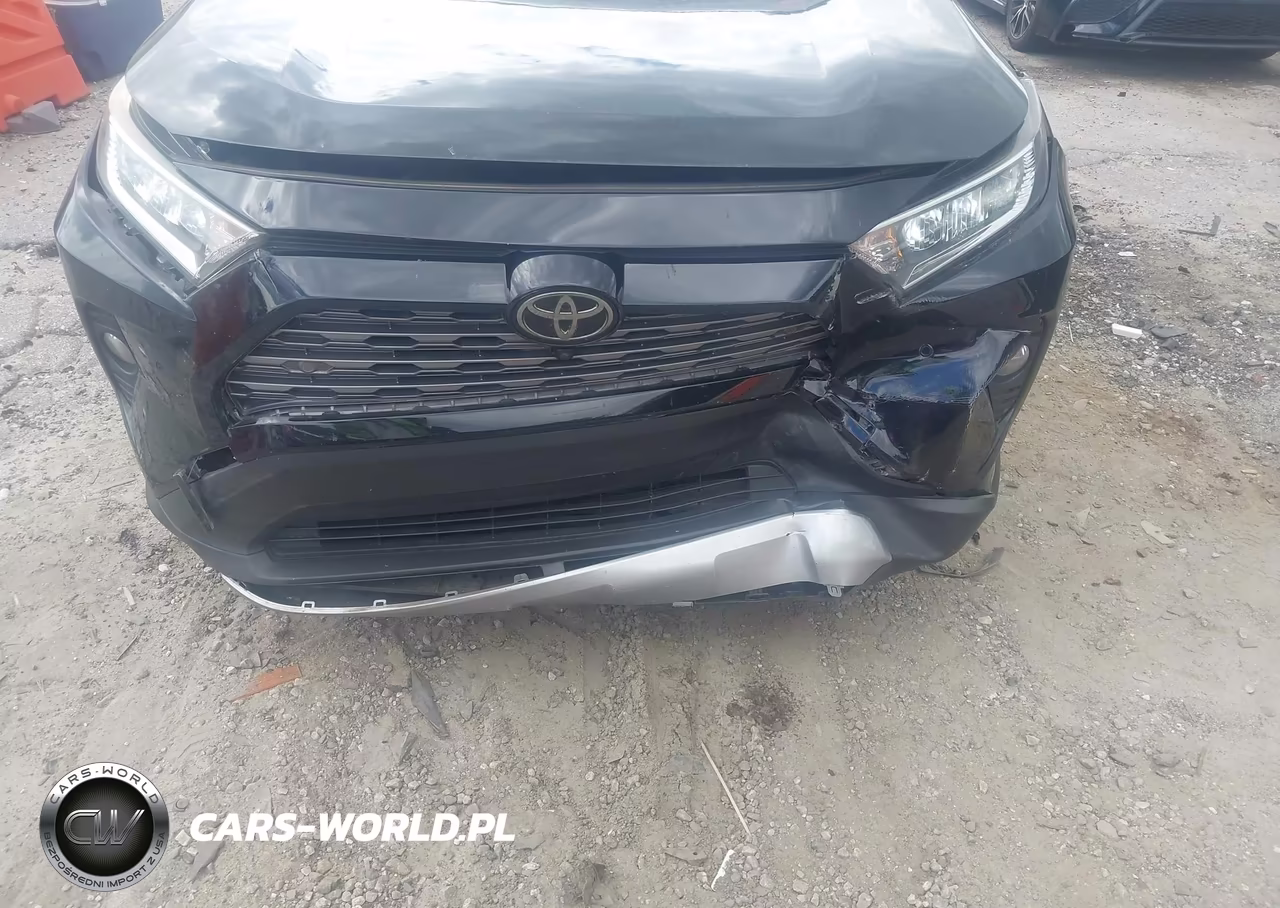 2019 Toyota Rav4 Limited VIN:JTMN1RFV1KD519533 - 6