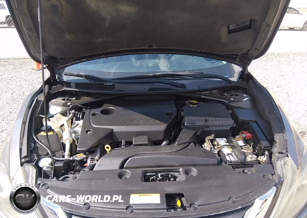 2016 Nissan Altima 2.5 Sr VIN:1N4AL3AP4GN319395 - 10