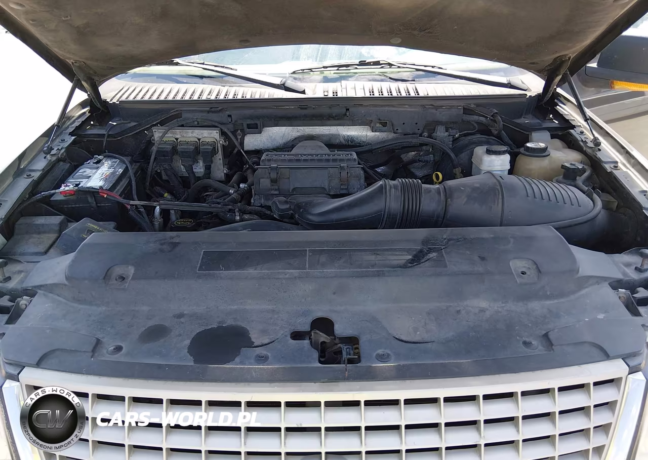 2006 Ford Expedition Eddie Bauer-King Ranch VIN:1FMFU17566LA86052 - 10