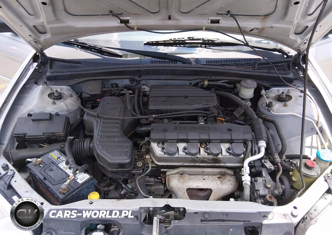 2003 Honda Civic Lx VIN:2HGES16503H543097 - 10