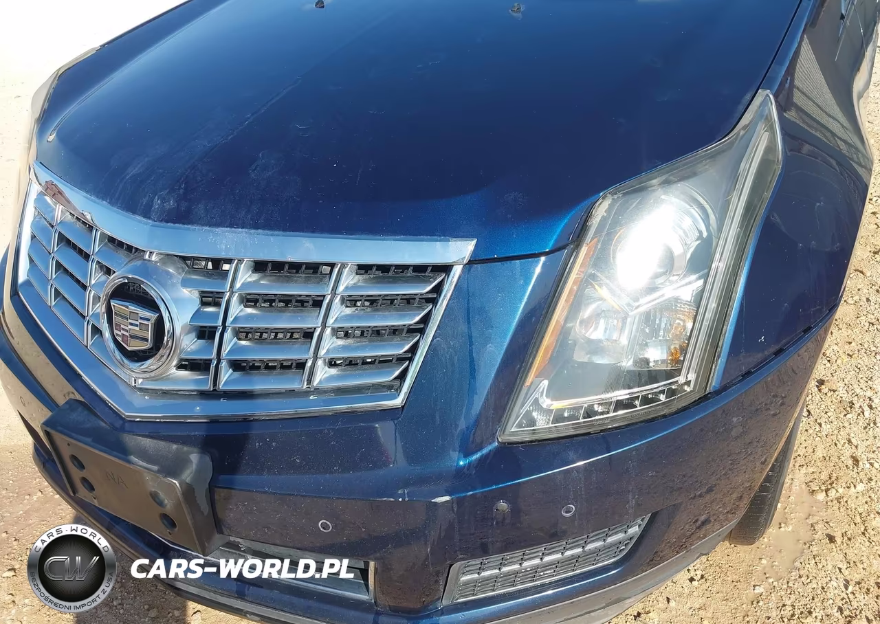 2010 Cadillac Srx Luxury Collection VIN:3GYFNAEY1AS521927 - 13