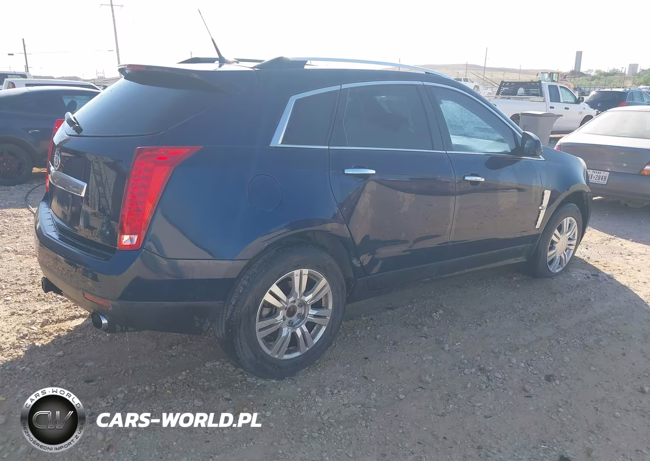 2010 Cadillac Srx Luxury Collection VIN:3GYFNAEY1AS521927 - 4