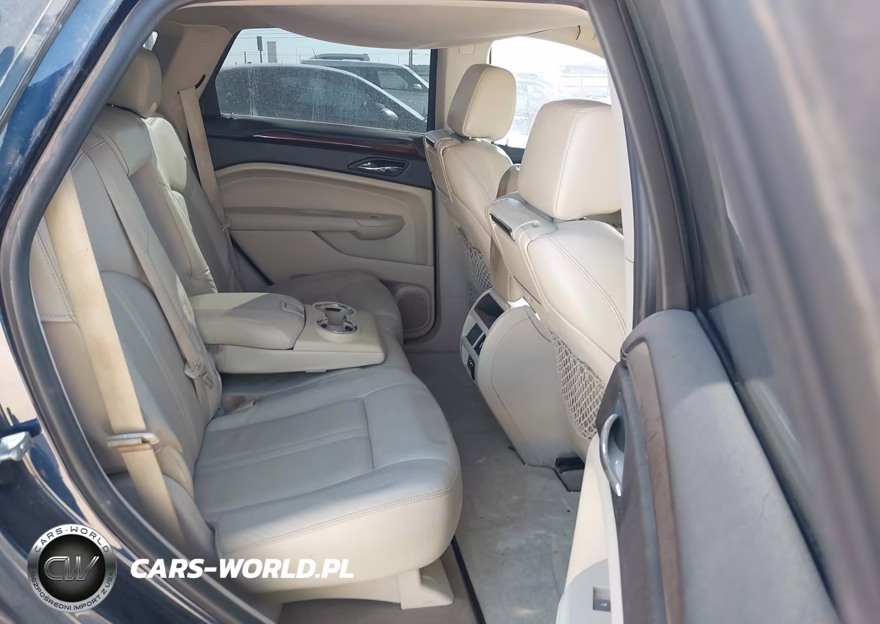 2010 Cadillac Srx Luxury Collection VIN:3GYFNAEY1AS521927 - 8