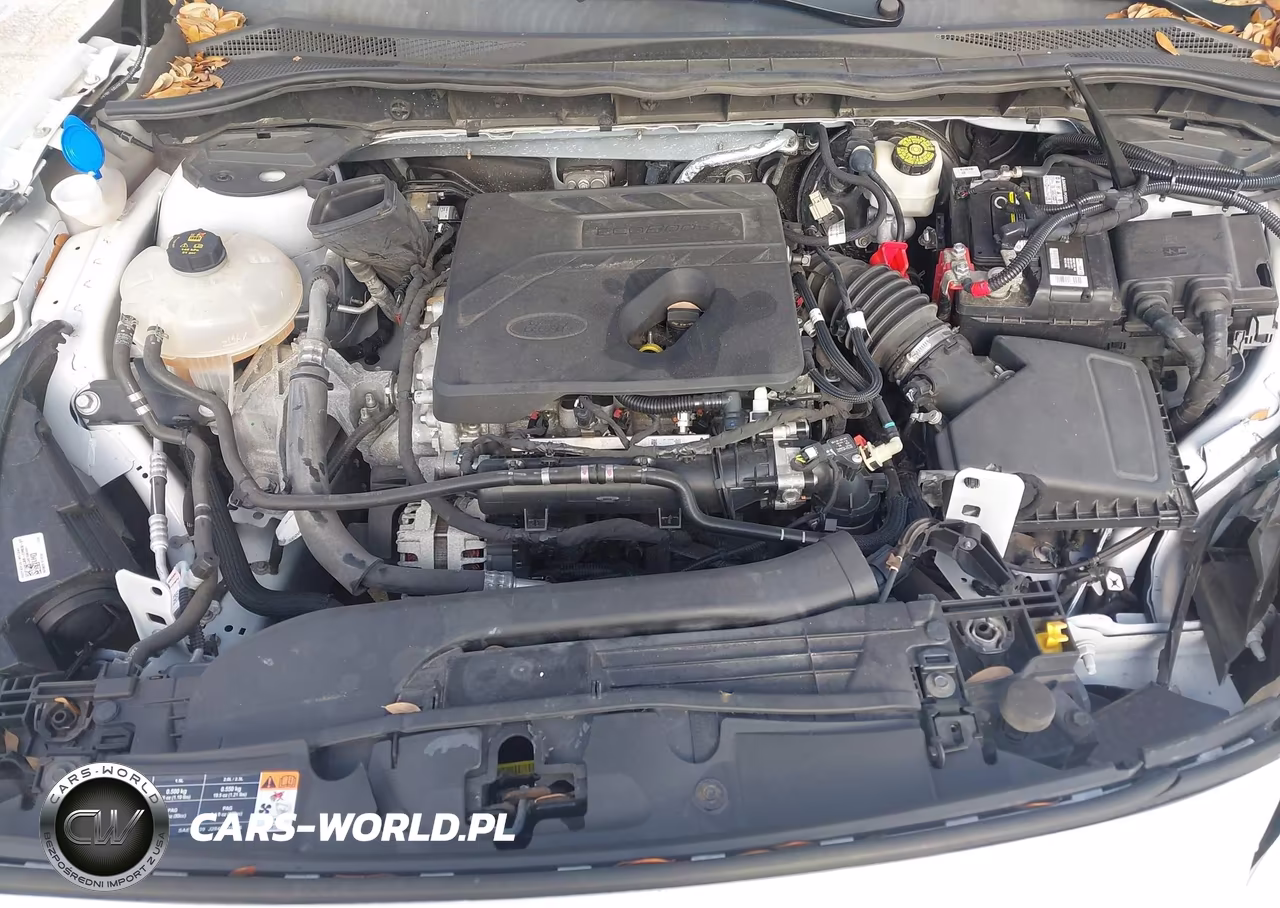 2020 Ford Escape Se VIN:1FMCU0G61LUB74017 - 10