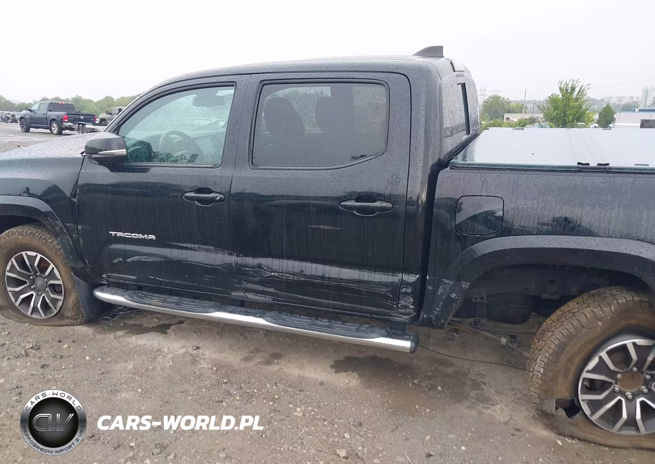 2020 Toyota Tacoma Trd Sport VIN:3TMCZ5AN7LM288935 - 17