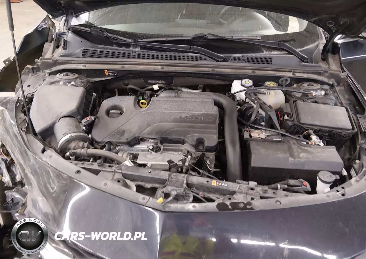 2023 Chevrolet Malibu Lt VIN:1G1ZD5ST1PF202796 - 10