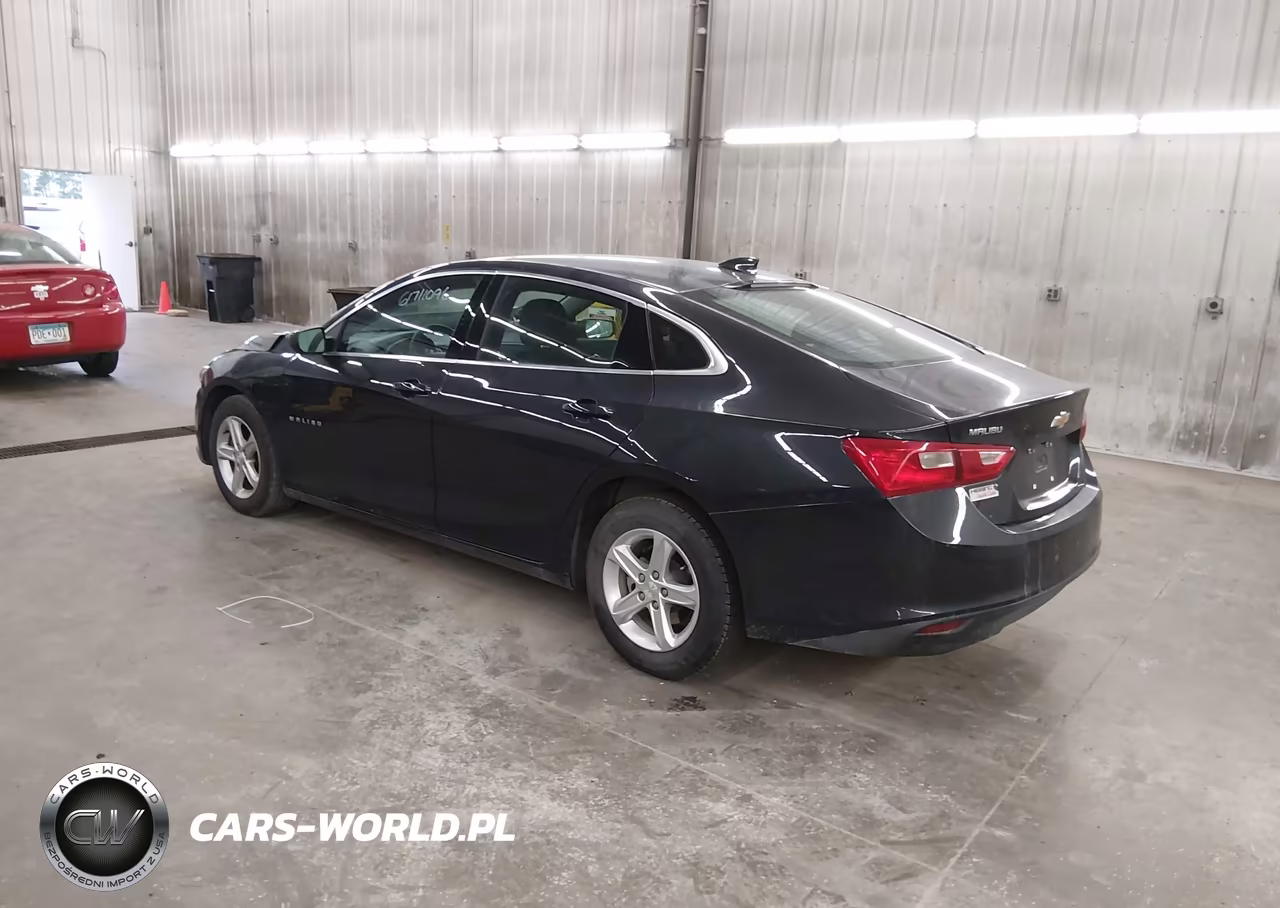 2023 Chevrolet Malibu Lt VIN:1G1ZD5ST1PF202796 - 3