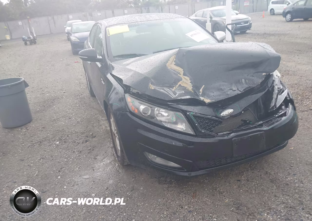 2013 Kia Optima Ex VIN:5XXGN4A7XDG231608 - 12