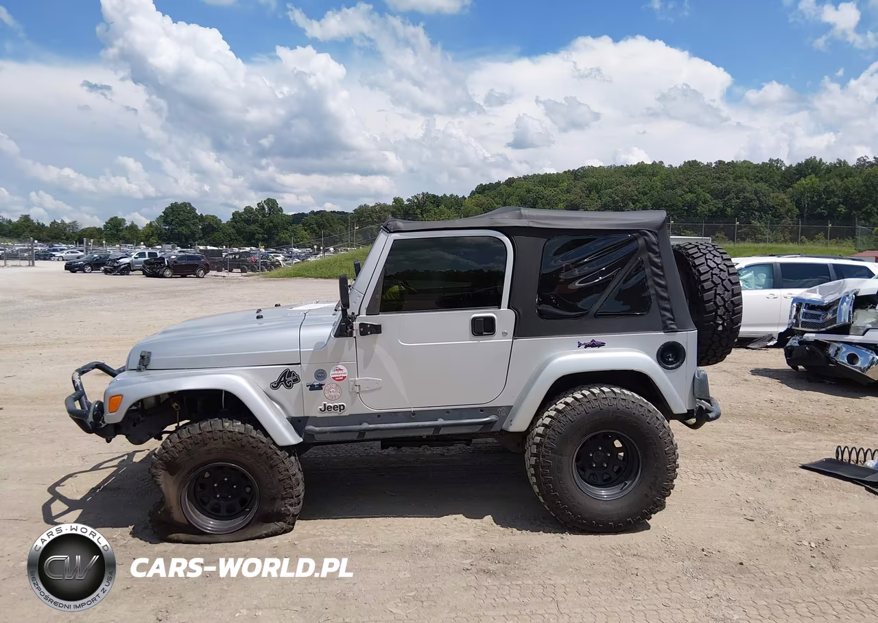 2003 Jeep Wrangler X VIN:1J4FA39S73P352351 - 14