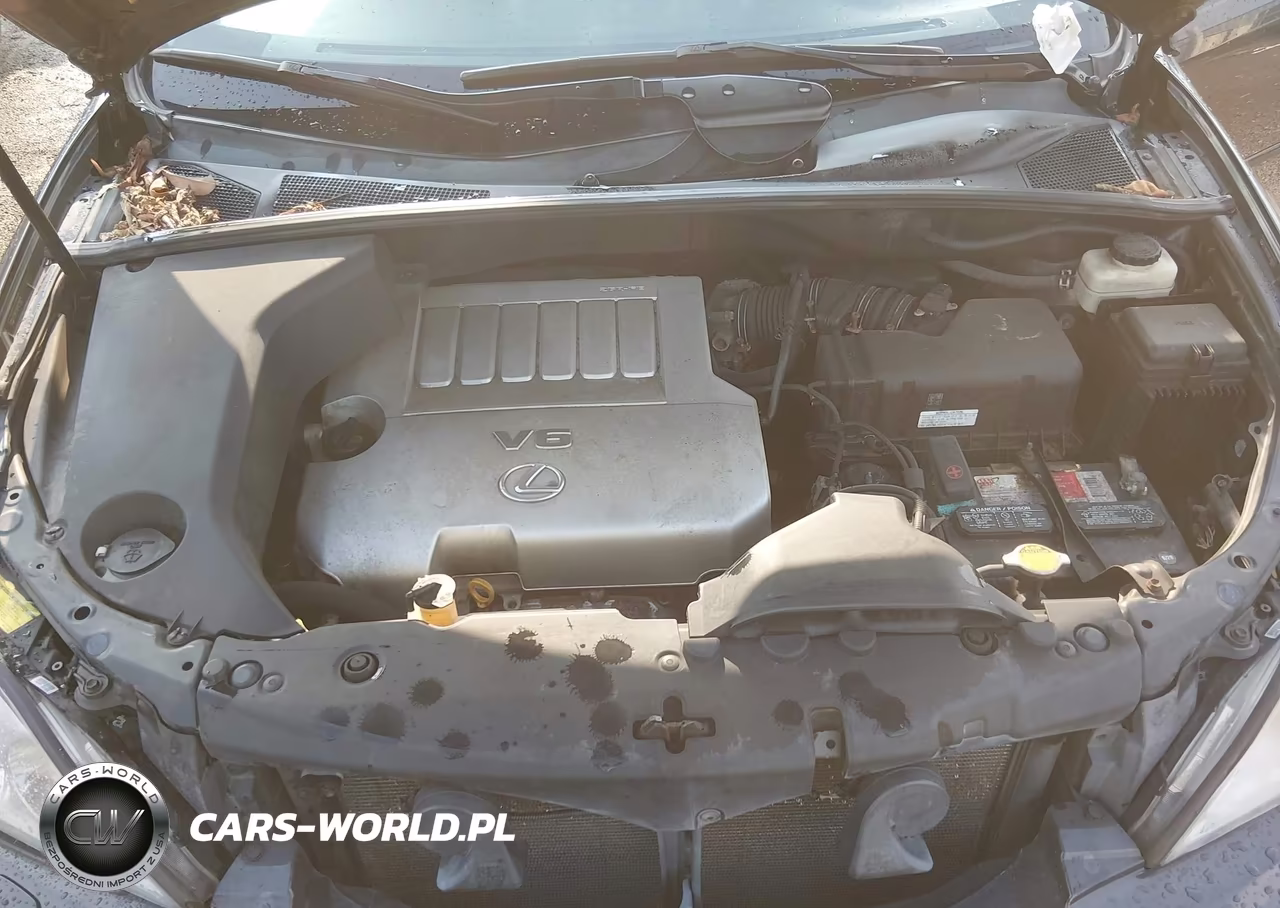 2009 Lexus Rx 350 VIN:2T2HK31U69C118374 - 10