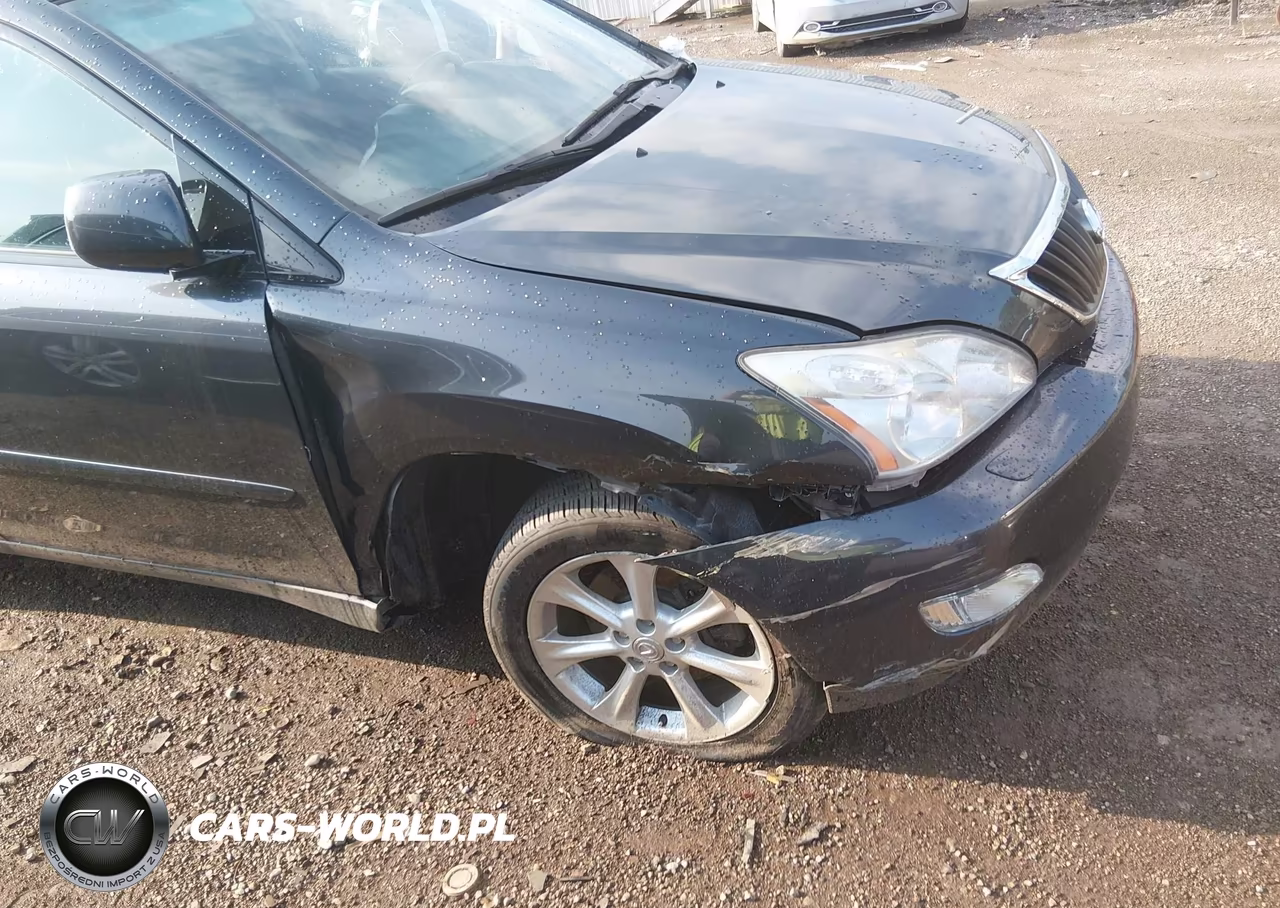 2009 Lexus Rx 350 VIN:2T2HK31U69C118374 - 6