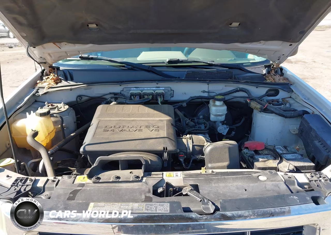 2011 Ford Escape Xlt VIN:1FMCU9DG5BKA36217 - 10
