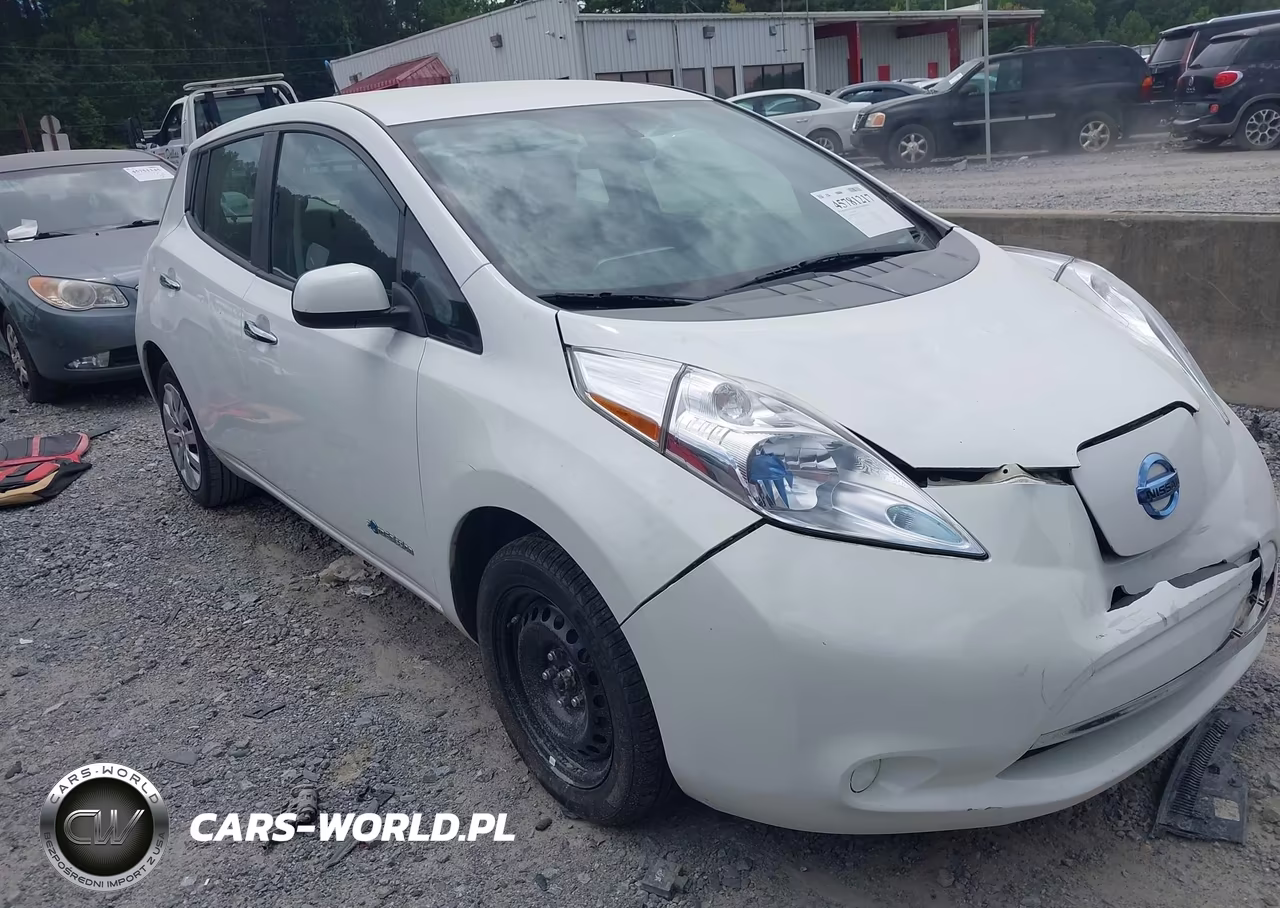 2013 Nissan Leaf S VIN:1N4AZ0CP5DC416607 - 1
