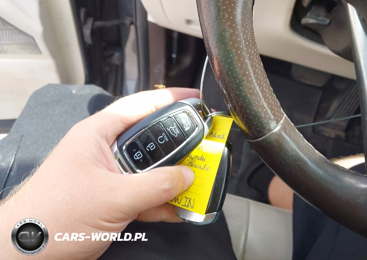 2020 Hyundai Palisade Limited VIN:KM8R5DHE1LU135125 - 11