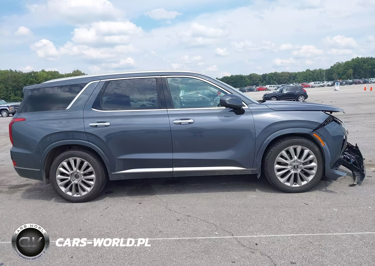 2020 Hyundai Palisade Limited VIN:KM8R5DHE1LU135125 - 13