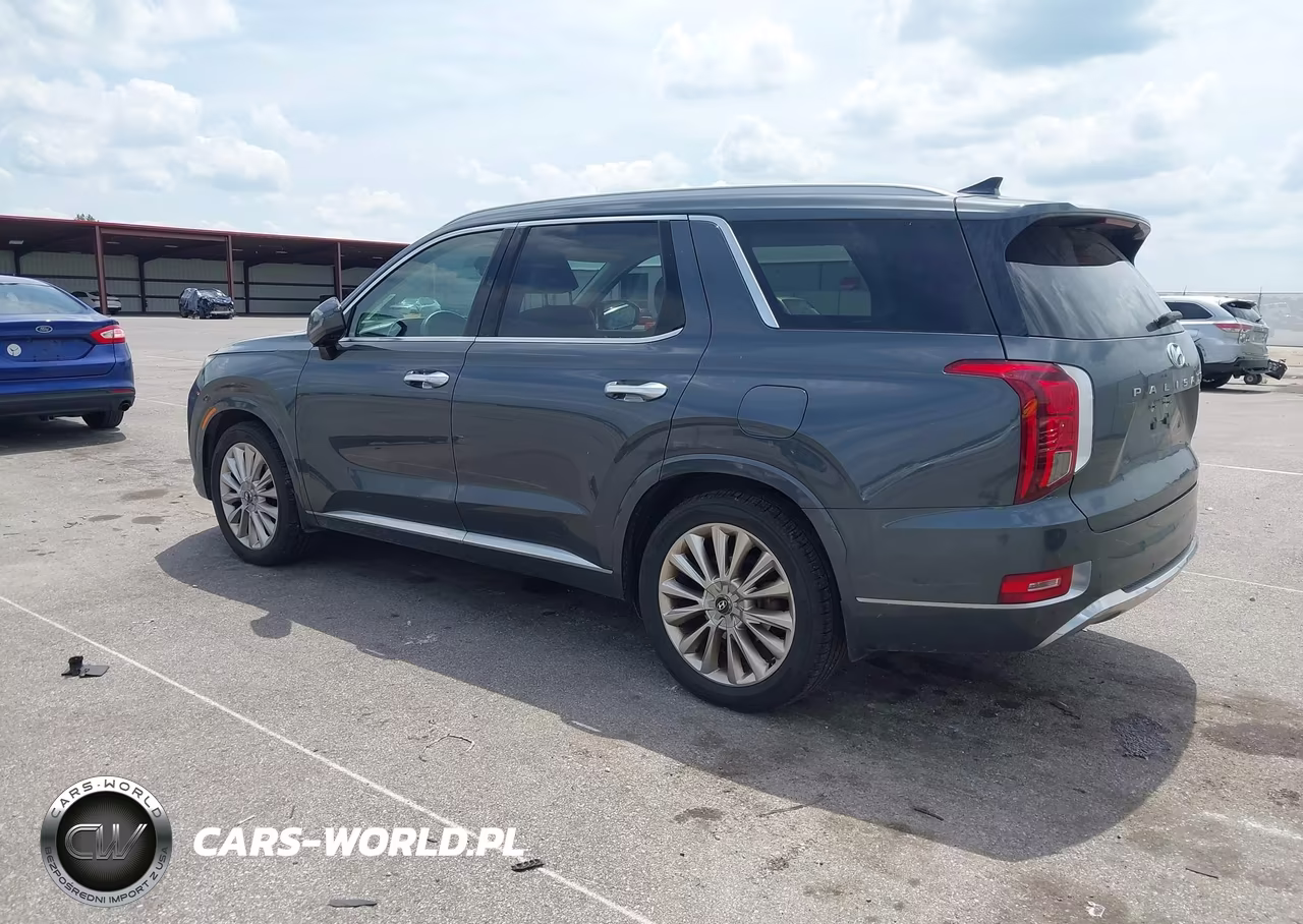 2020 Hyundai Palisade Limited VIN:KM8R5DHE1LU135125 - 3