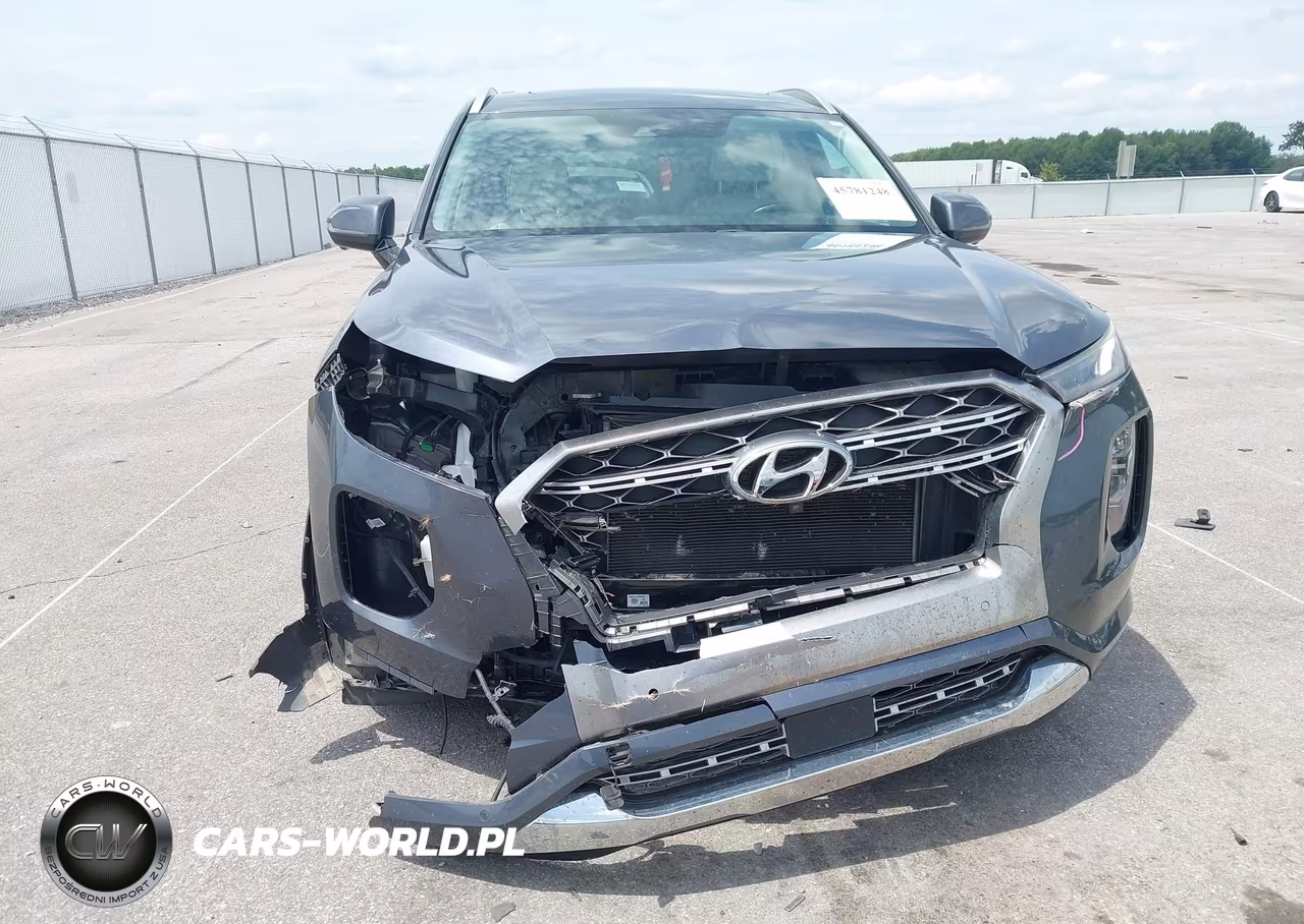 2020 Hyundai Palisade Limited VIN:KM8R5DHE1LU135125 - 6