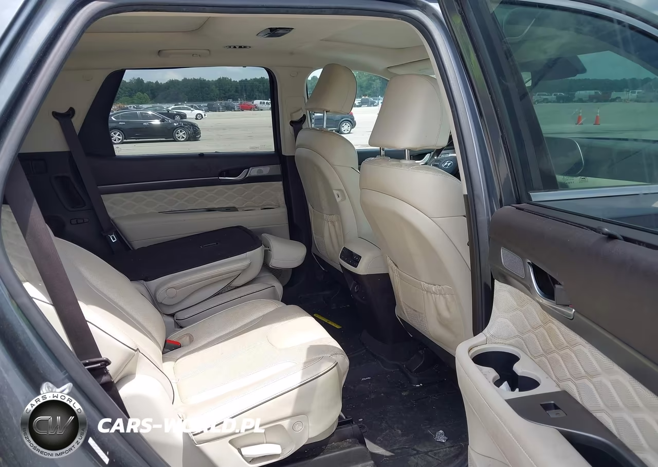 2020 Hyundai Palisade Limited VIN:KM8R5DHE1LU135125 - 8