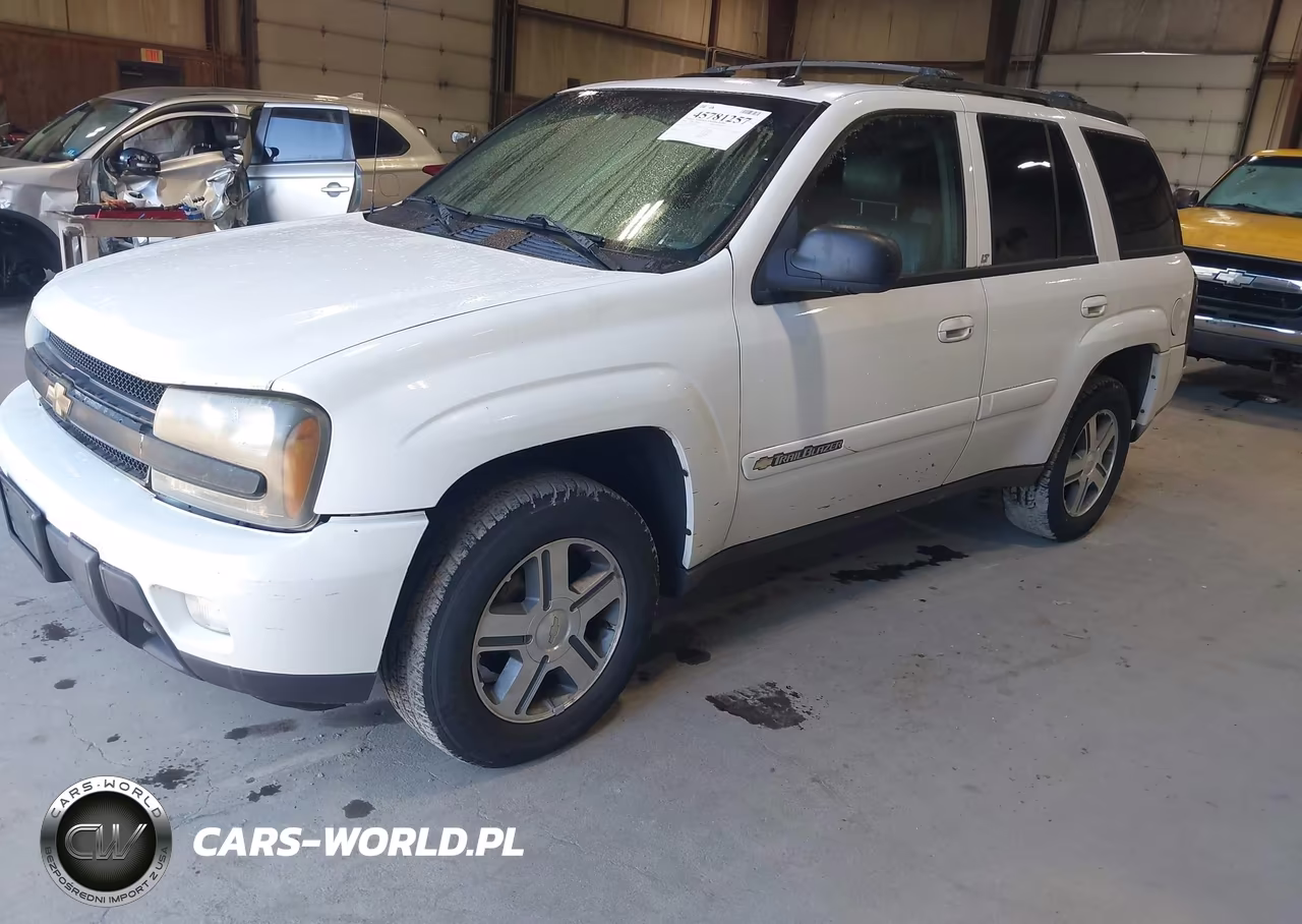 2004 Chevrolet Trailblazer Lt VIN:1GNDT13S842193978 - 2
