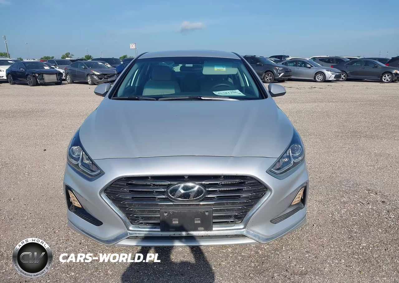 2019 Hyundai Sonata Eco VIN:5NPE24AA8KH803255 - 12
