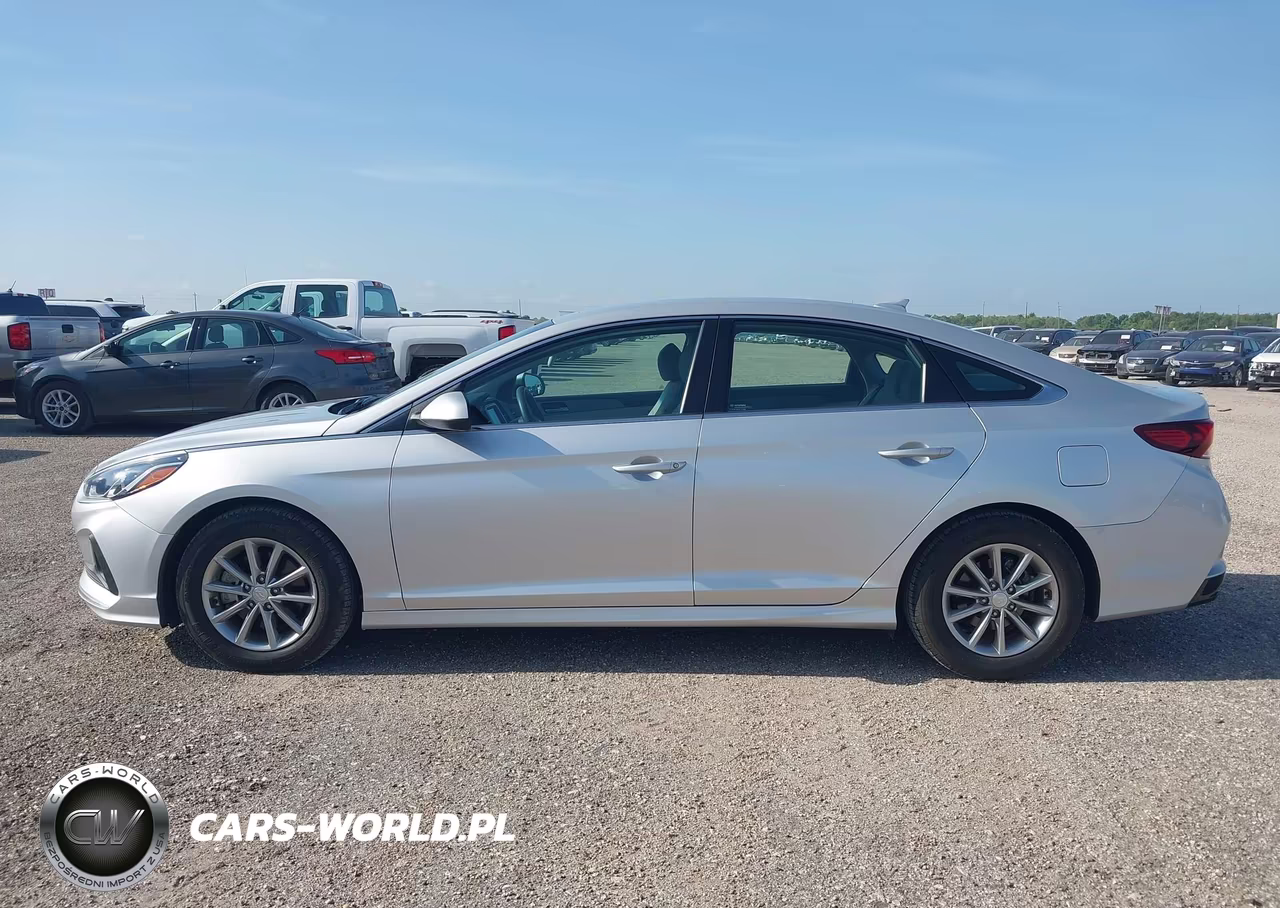 2019 Hyundai Sonata Eco VIN:5NPE24AA8KH803255 - 14