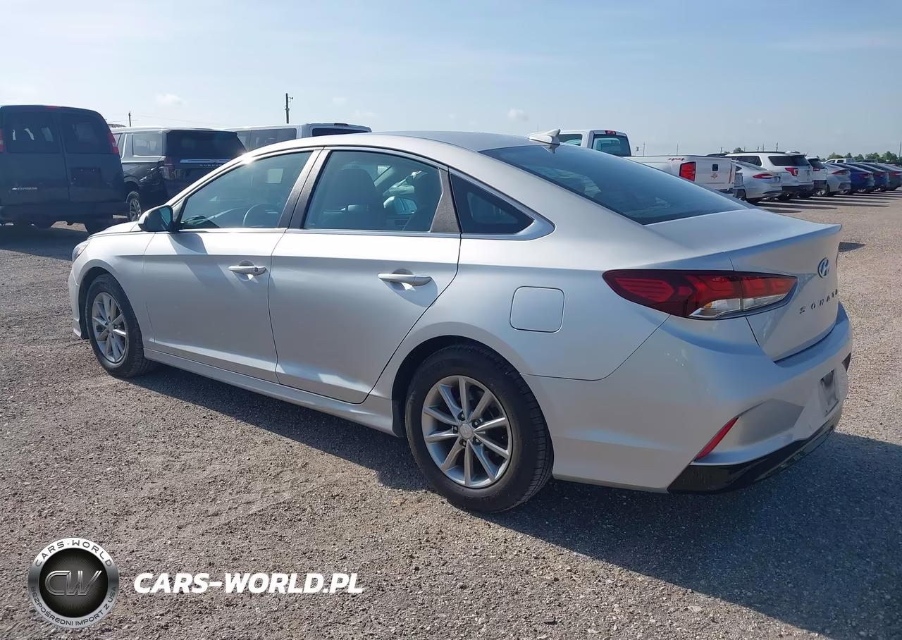 2019 Hyundai Sonata Eco VIN:5NPE24AA8KH803255 - 3