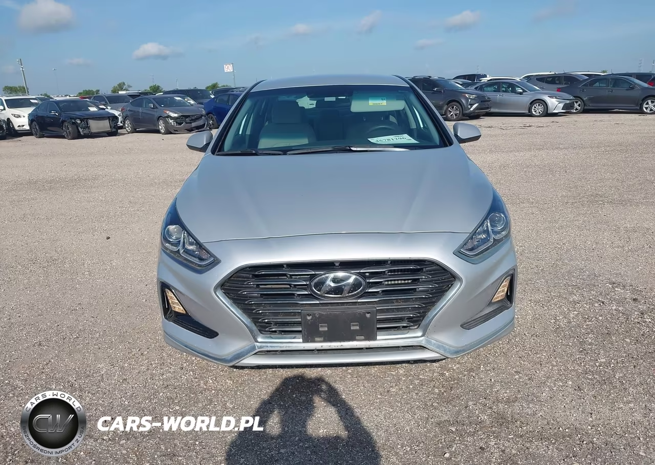 2019 Hyundai Sonata Eco VIN:5NPE24AA8KH803255 - 6
