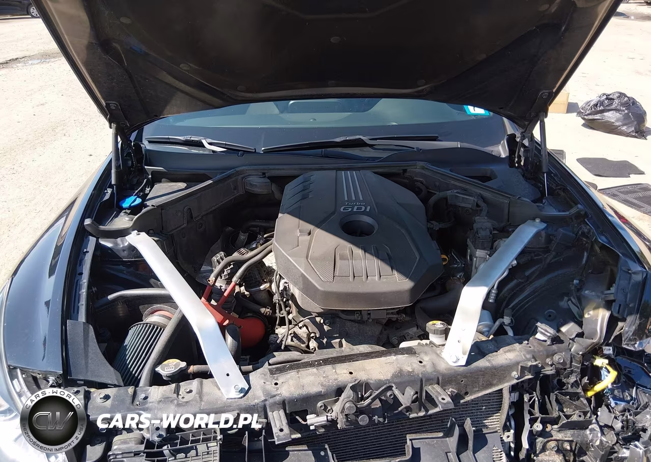 2020 Kia Stinger Gt-Line VIN:KNAE15LA9L6080398 - 10