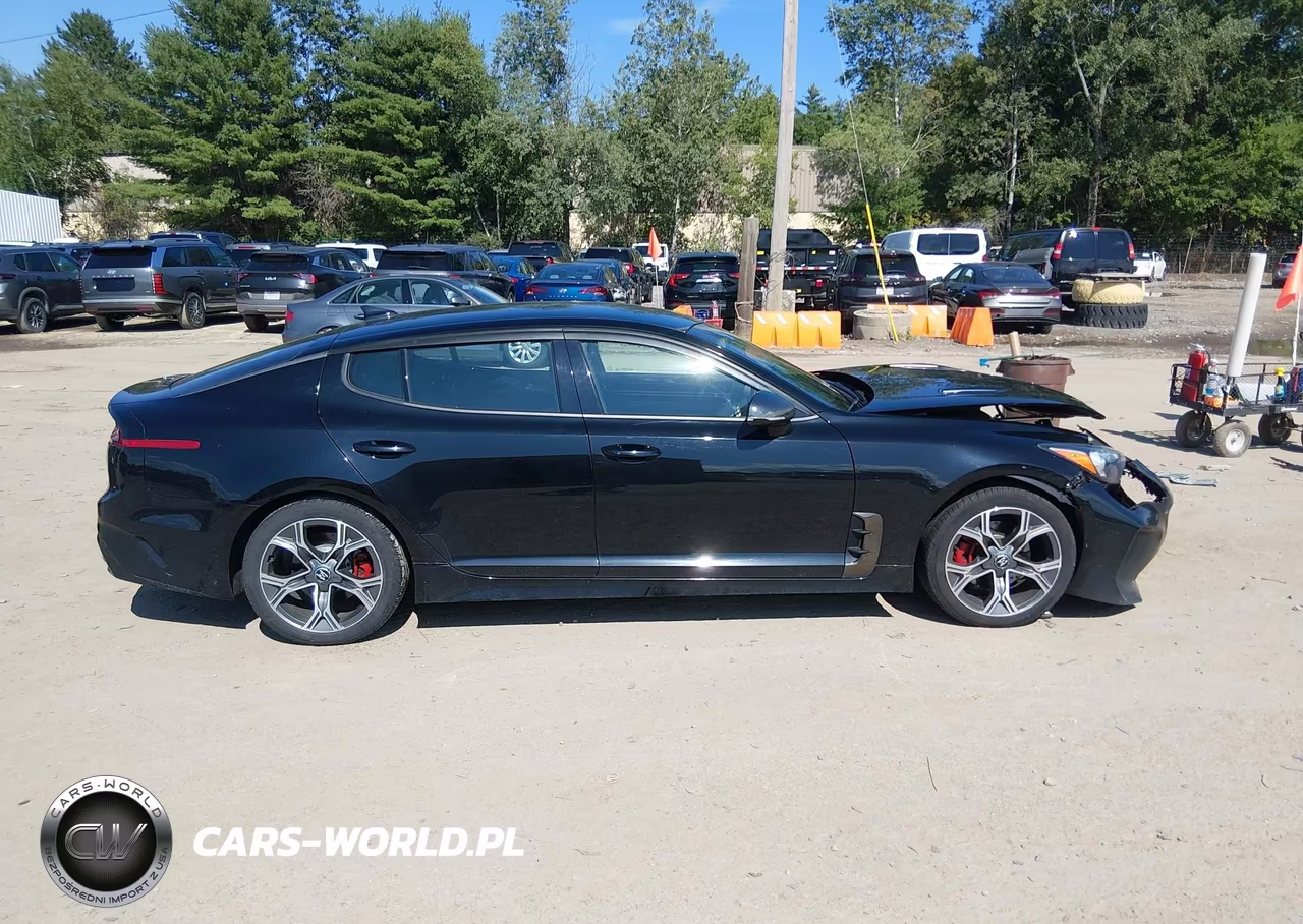 2020 Kia Stinger Gt-Line VIN:KNAE15LA9L6080398 - 13