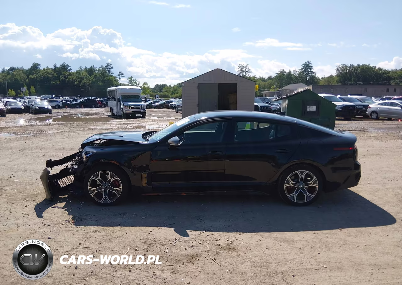 2020 Kia Stinger Gt-Line VIN:KNAE15LA9L6080398 - 14